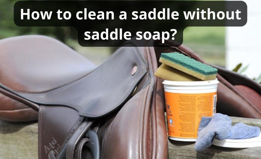 How To Clean A Saddle Without Saddle Soap: Top 7 Best Ways