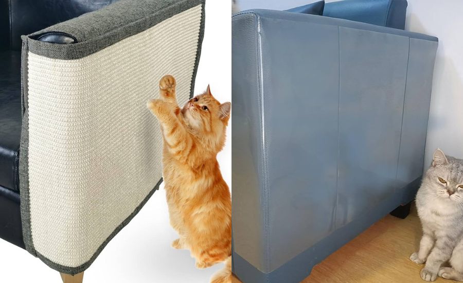 How to protect leather couch from cats 3