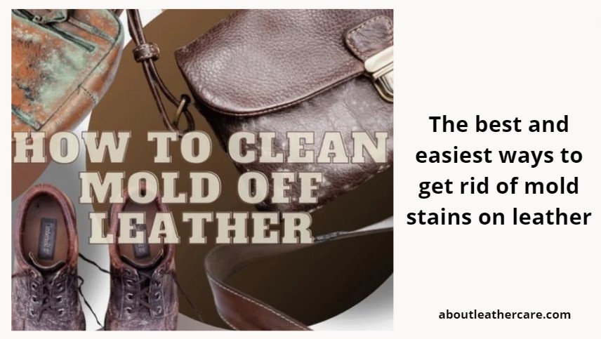 How to clean mold off leather bags and shoes