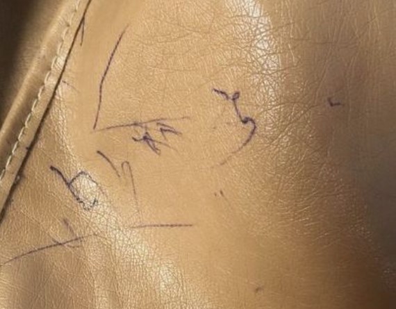 How to remove permanent marker from leather