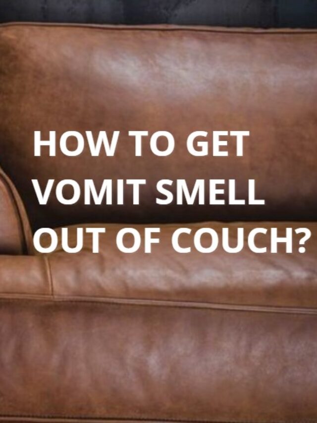 How to get vomit smell out of couch: keep your leather sofa clean?