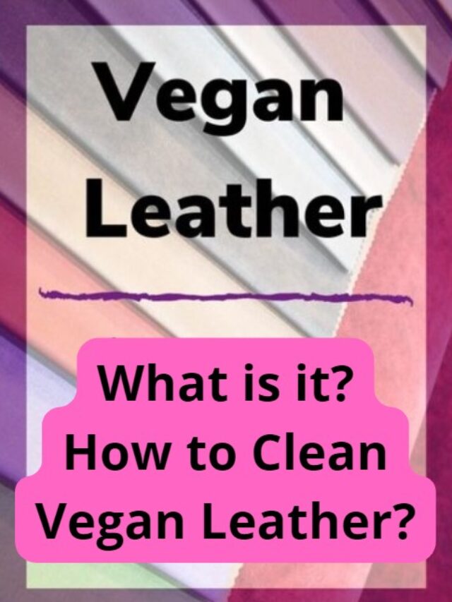 How to Clean Vegan Leather In Just 4 Steps?