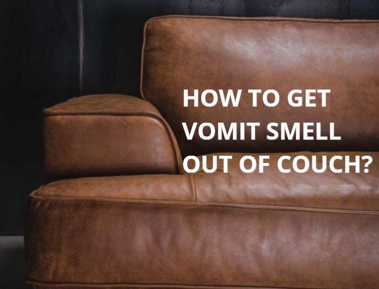 How to get vomit smell out of couch